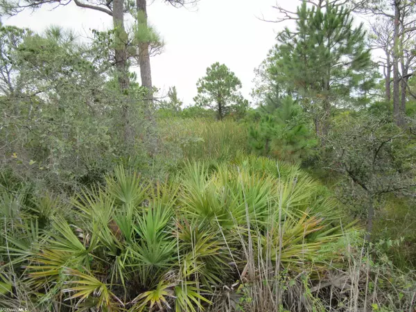 Gulf Shores, AL 36542,Cabana Beach Road