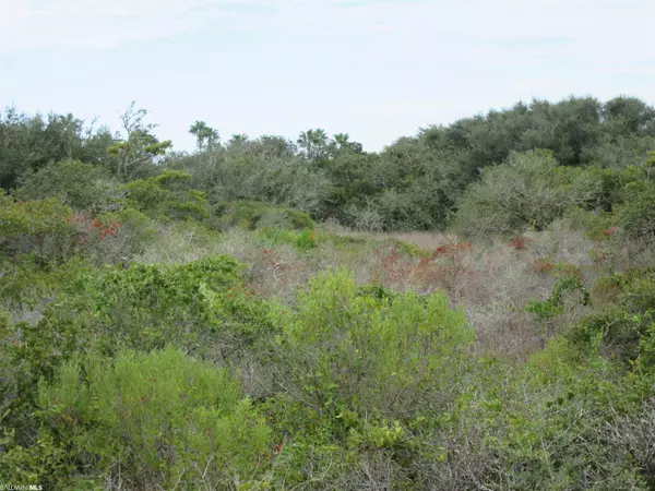 Gulf Shores, AL 36542,Cabana Beach Road