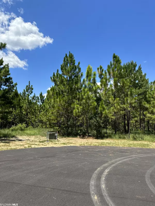 0 Hampton Ridge Court, Mobile, AL 36608