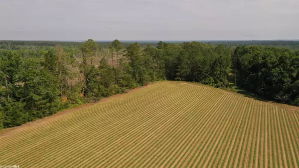 6 Travis Road, Brewton, AL 36426