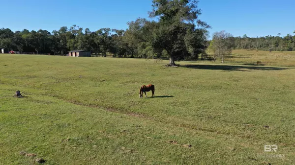 Cantonment, FL 32533,1011 Jacks Branch Road