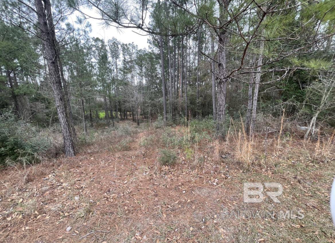 0 Delvan Lane, Bay Minette, AL 36507