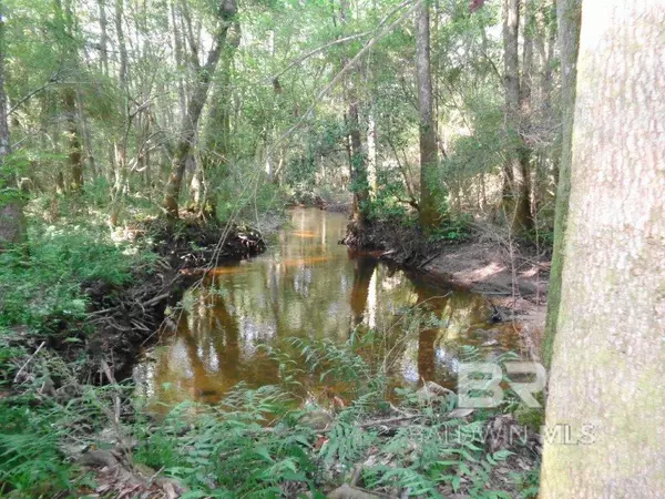 Goodway, AL 36449,0 Butler Street