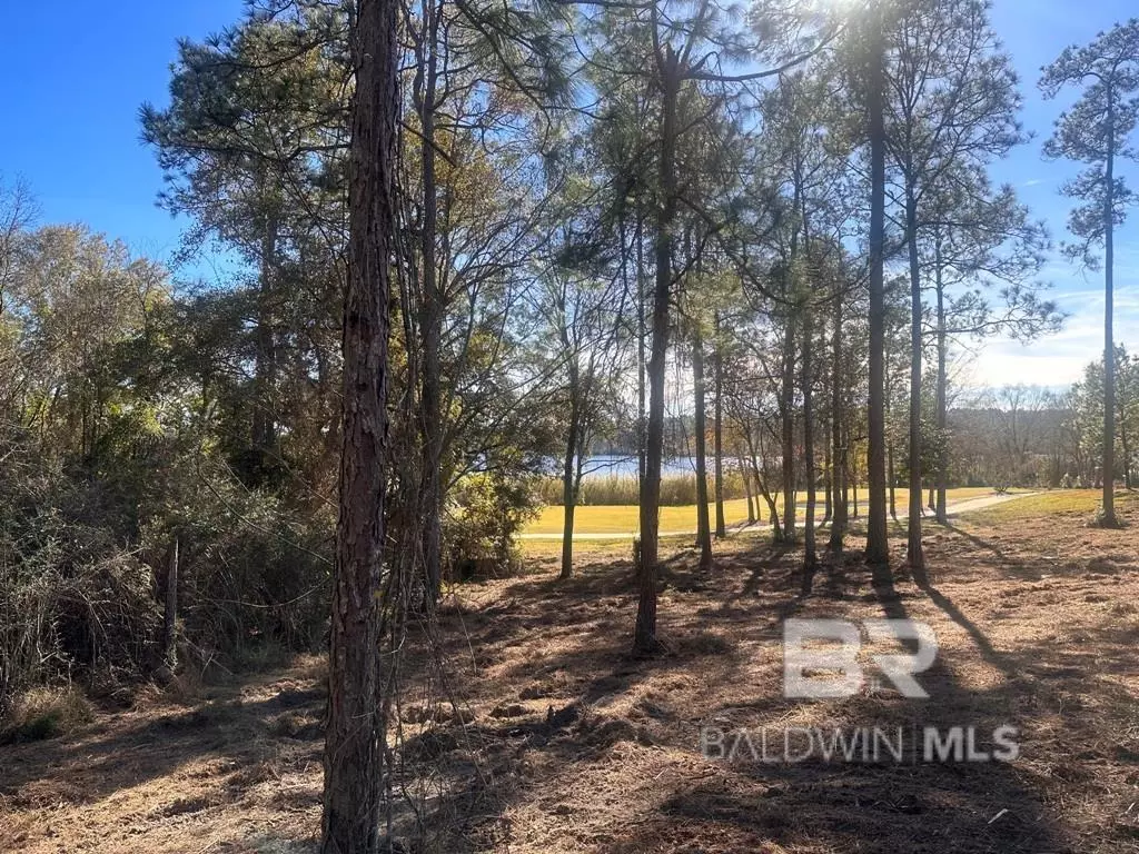 Loxley, AL 36551,W Water View Drive