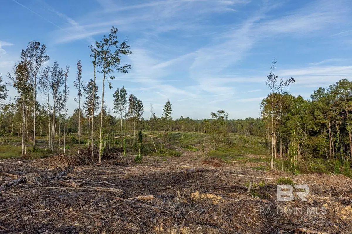 Bay Minette, AL 36507,0 Whitehouse Fork Road