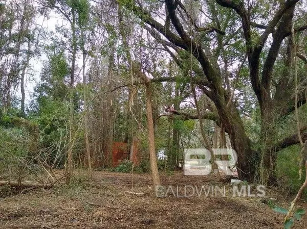 Fairhope, AL 36532,0 Nichols Avenue