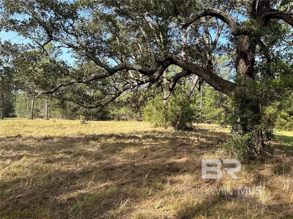 0 Ezell Road, Grand Bay, AL 36541