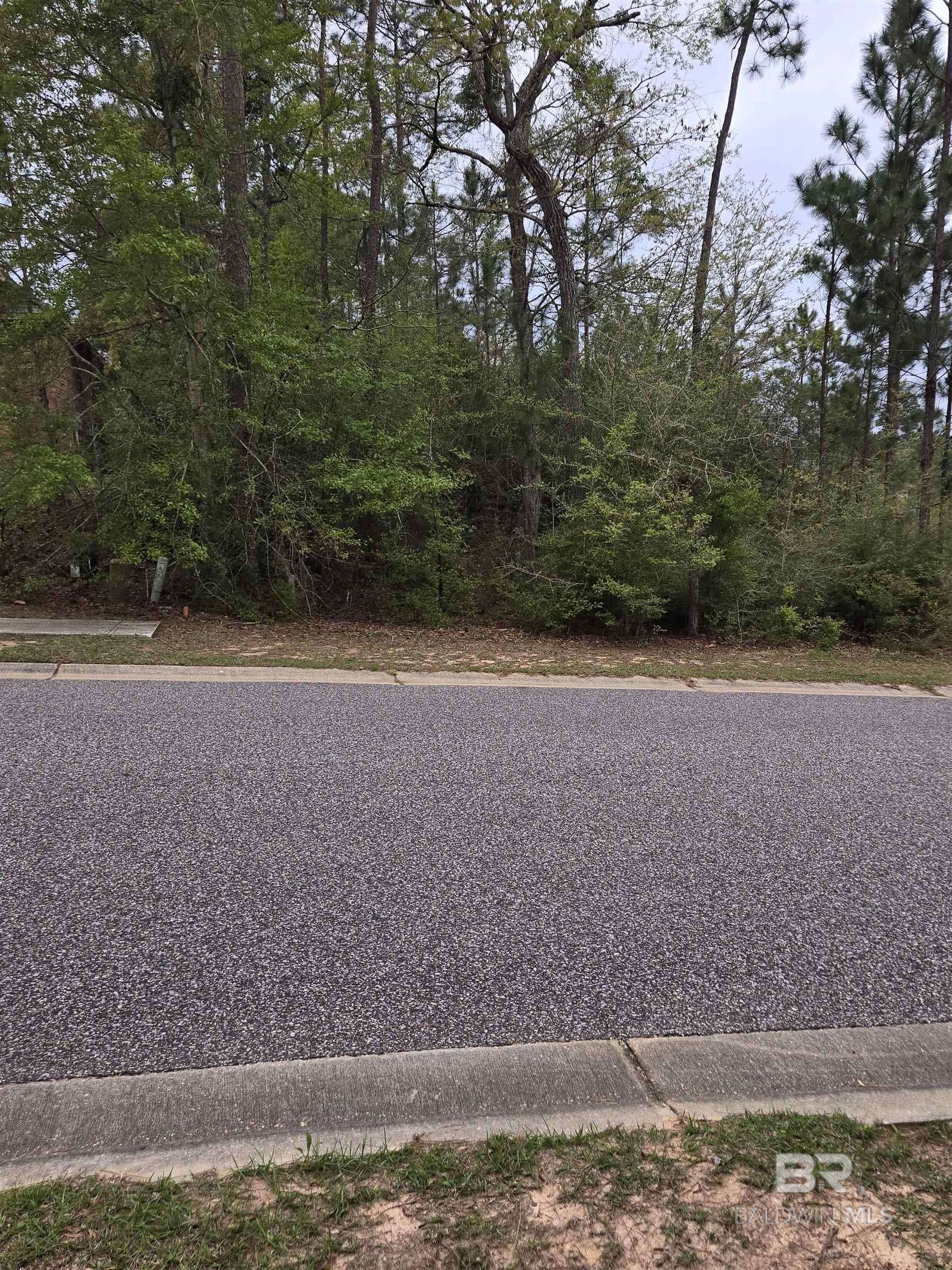 Spanish Fort, AL 36527,37 W Wildflower Trail