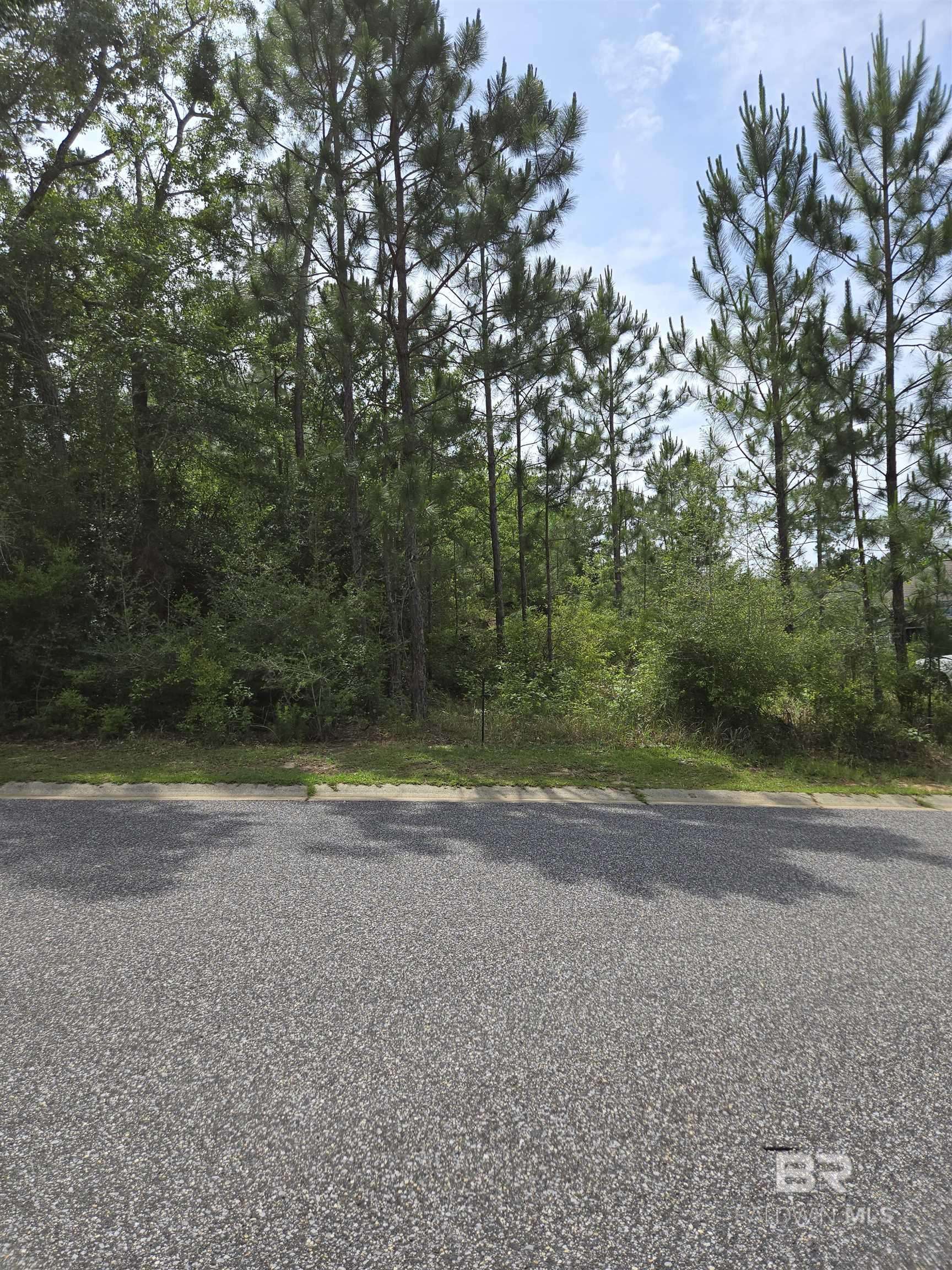 Spanish Fort, AL 36527,37 W Wildflower Trail