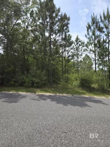 37 W Wildflower Trail, Spanish Fort, AL 36527