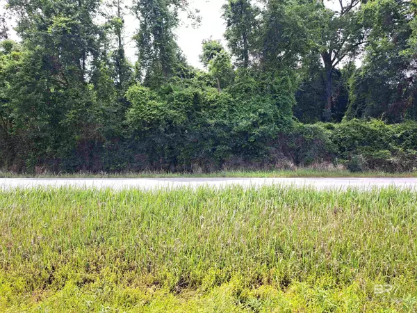 Bay Minette, AL 36507,0000 State Highway 225