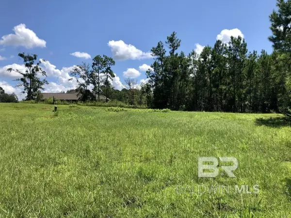 Spanish Fort, AL 36527,0 Boardwalk Drive