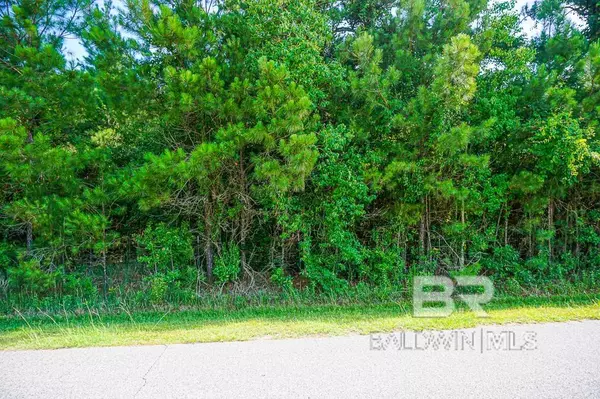 Coden, AL 36521-3,0 RIVERVIEW Drive