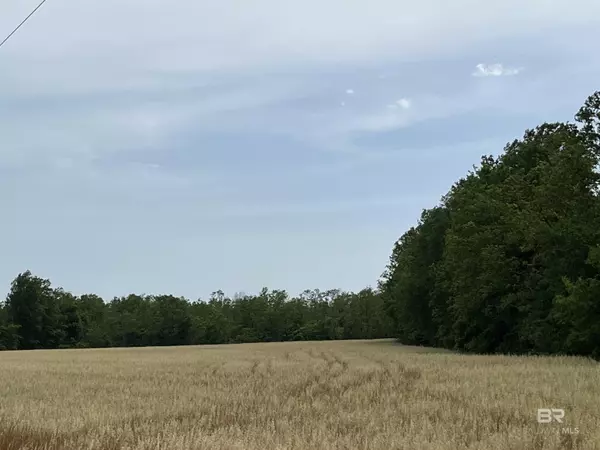 Summerdale, AL 36580,0 S County Road 34