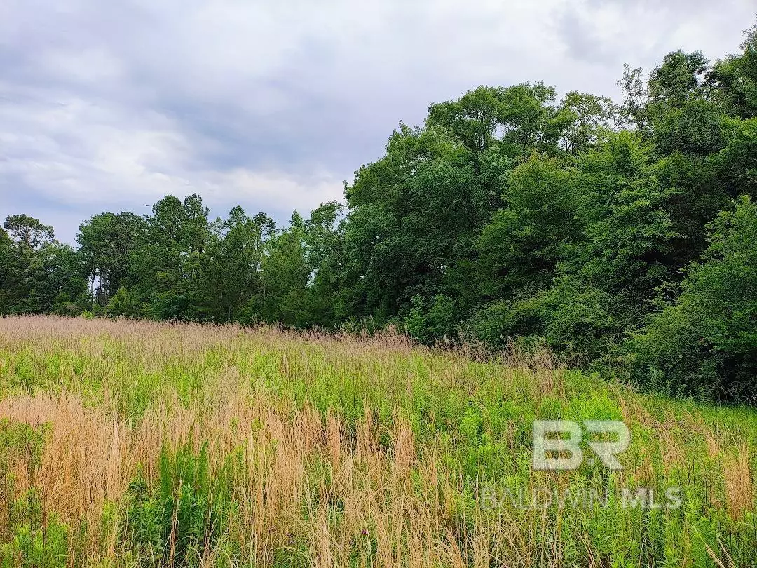 Coffeeville, AL 36524,000 County Road 69