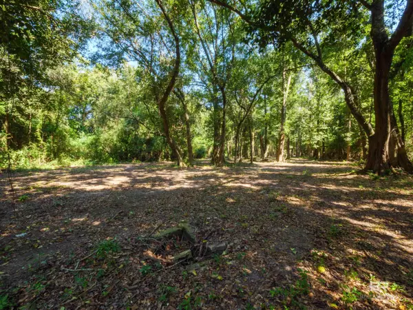 Fairhope, AL 36532,303 Young Street