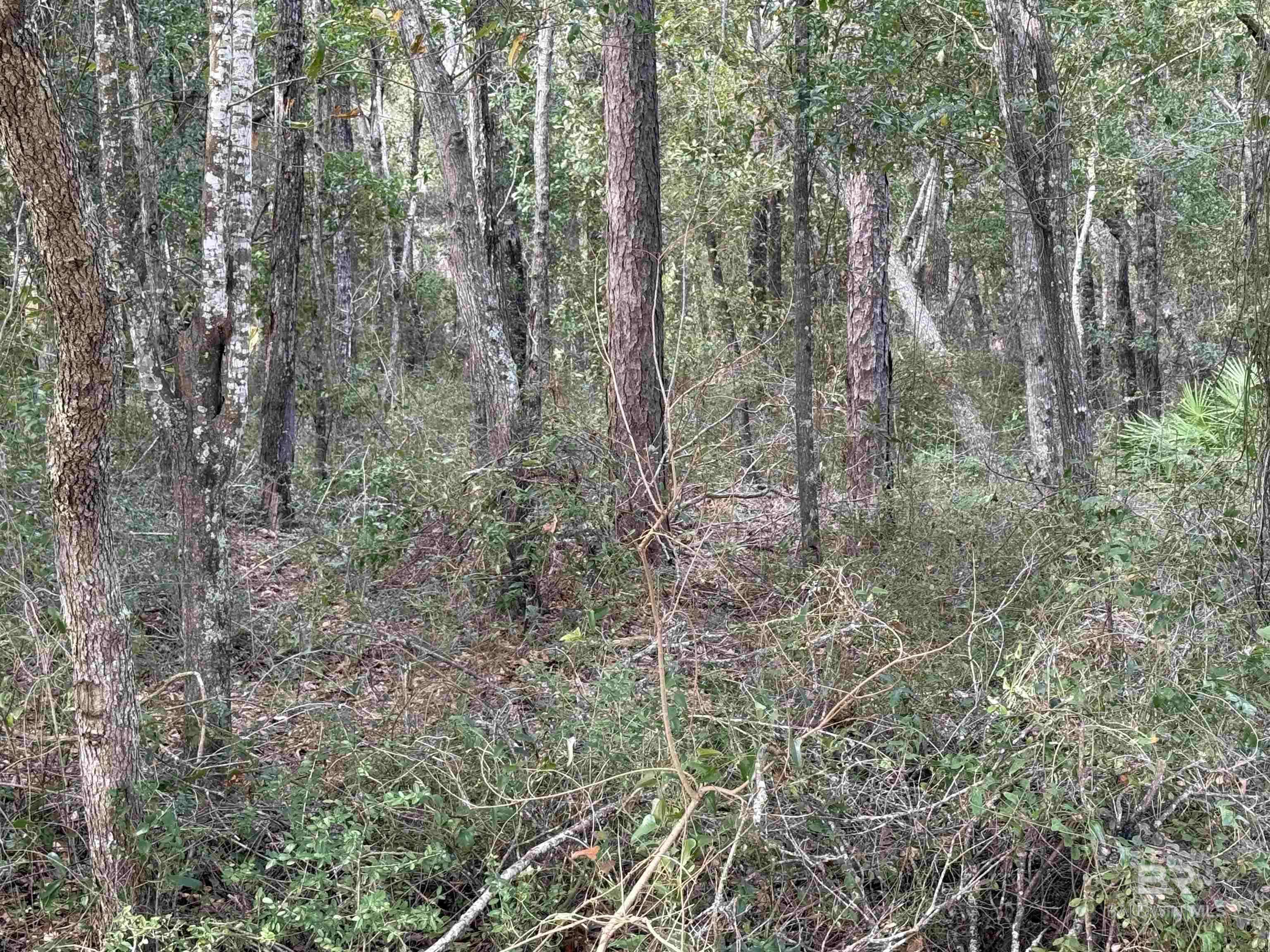 Lillian, AL 36549,tbd Plaza Marcia Drive