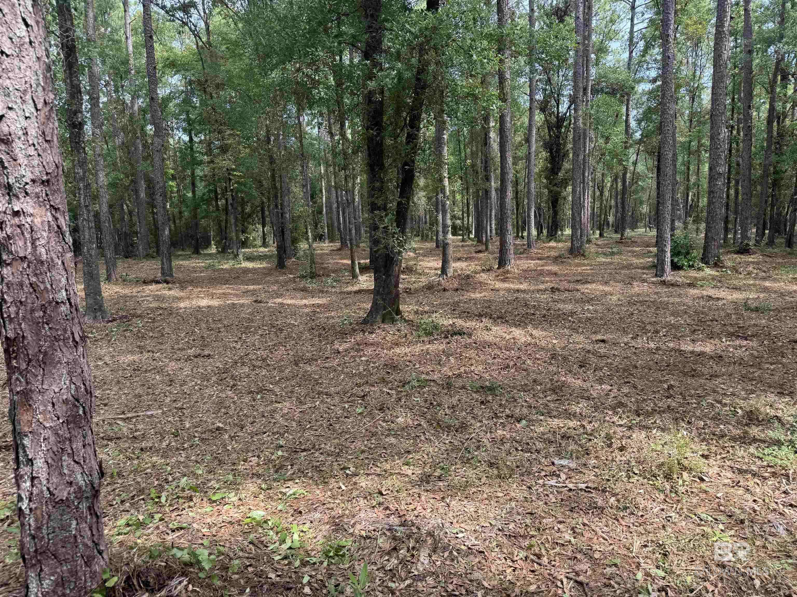 Satsuma, AL 36572,0 C C Trail