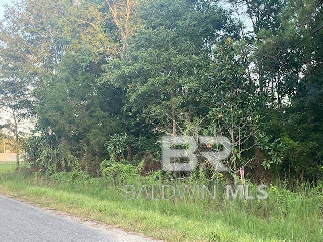 Atmore, AL 36502,Parcel 6 Middleton Lane