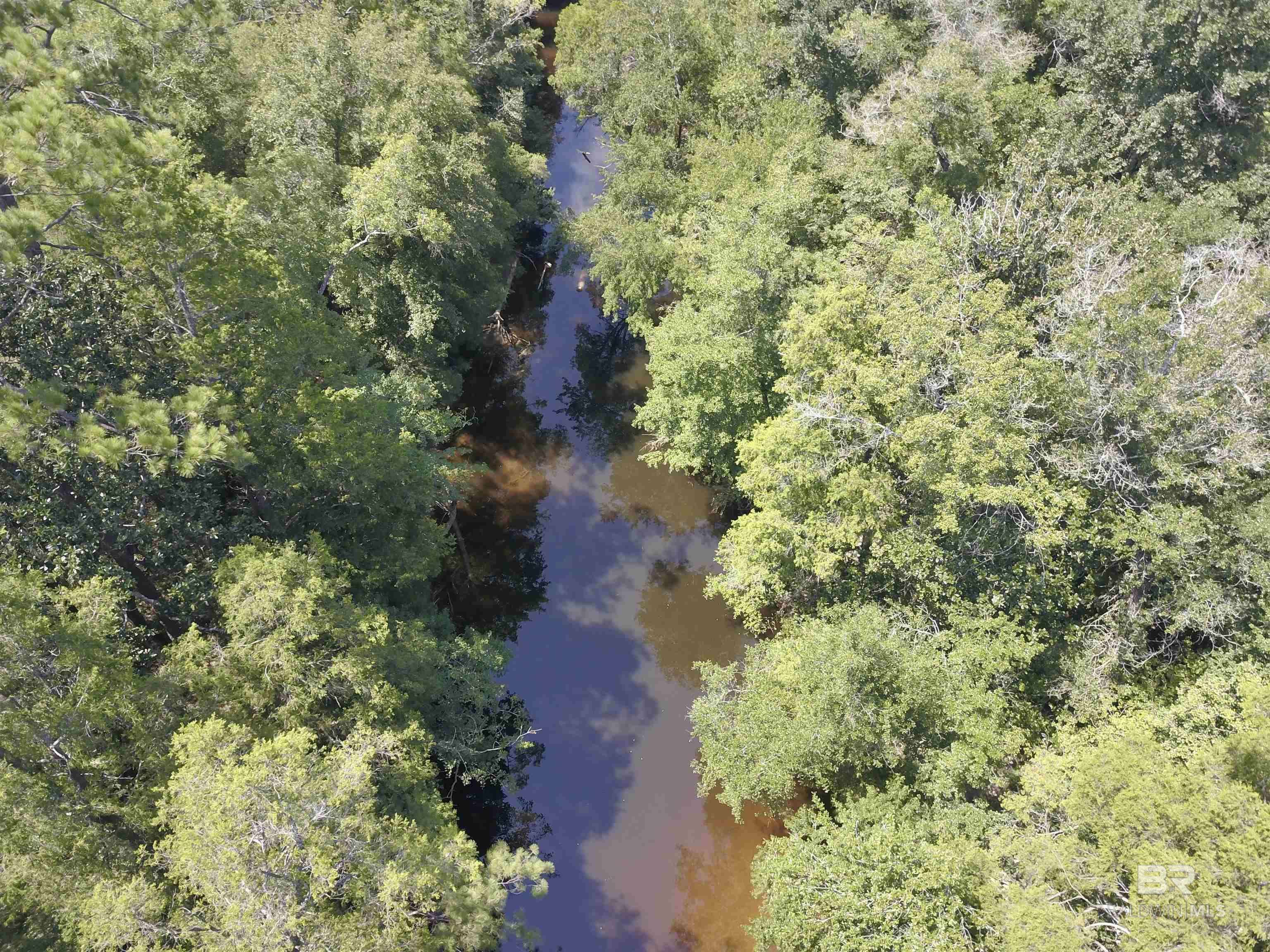 Mount Vernon, AL 36560,17175 Kelly Road