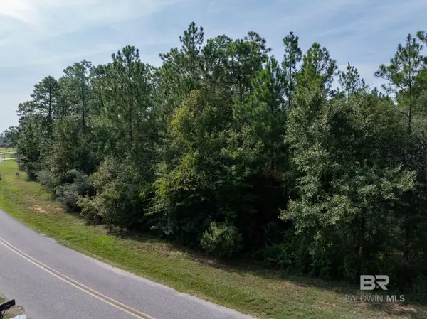 Spanish Fort, AL 36527,0 Coyote Drive