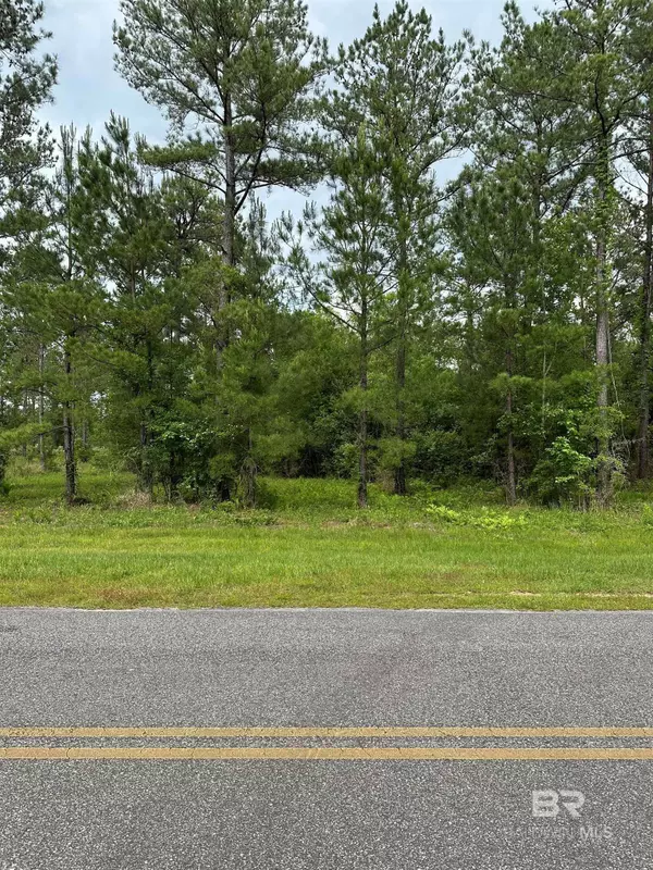 Bay Minette, AL 36507,0 Hollingsworth Road