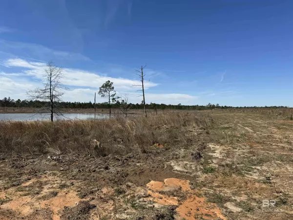 Robertsdale, AL 36567,4 County Road 64