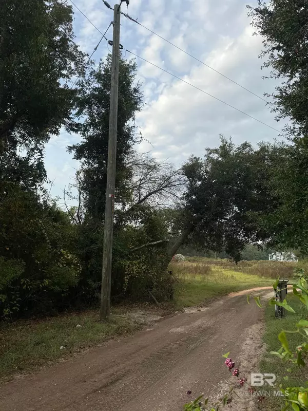 Elberta, AL 36530,12821 County Road 97