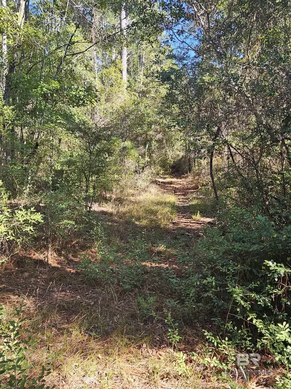 Coden, AL 36523,14780 Bellingrath Road