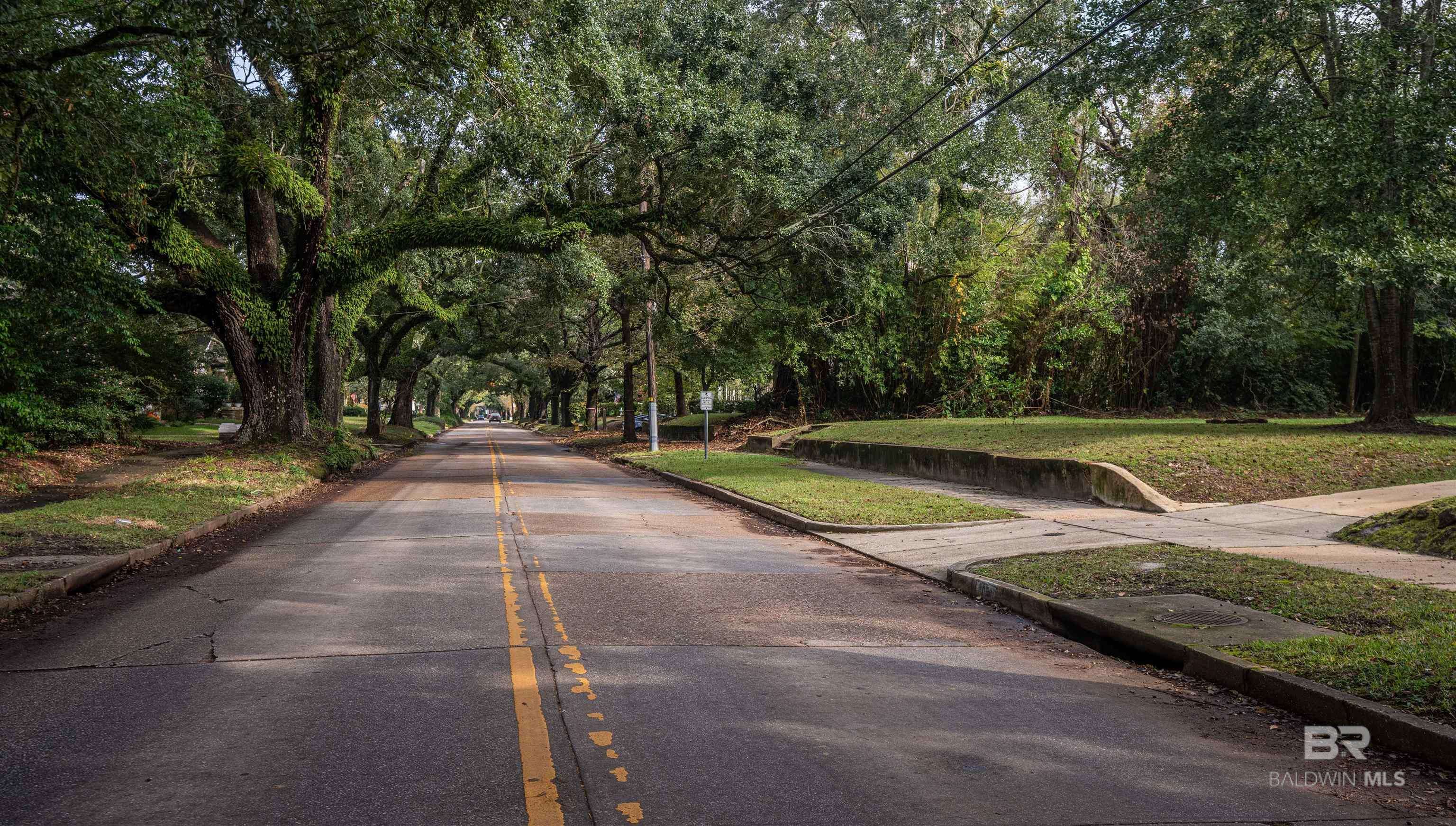 113 HOUSTON Street, Mobile, AL 36606