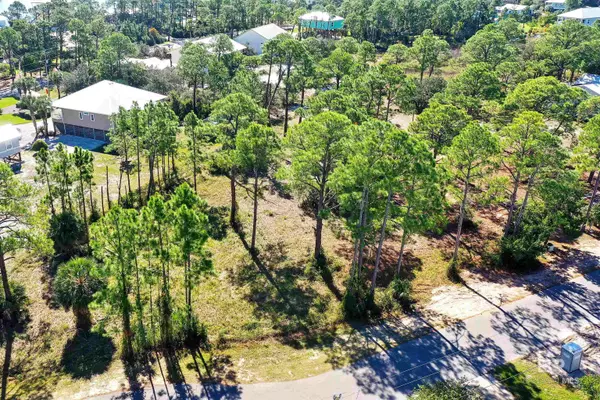 Orange Beach, AL 36561,Carondelette Drive