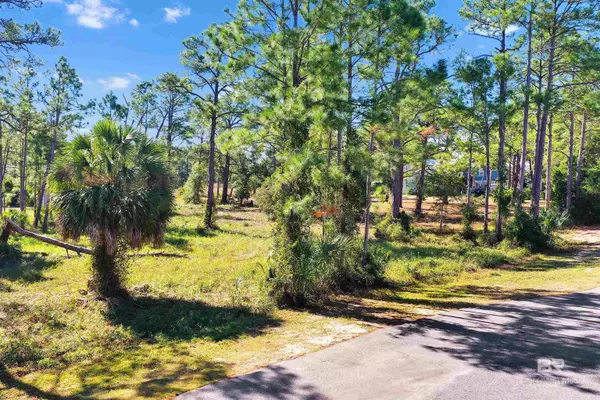 Orange Beach, AL 36561,Carondelette Drive