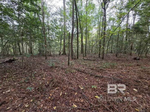 0 Gloria Lane, Brewton, AL 36426