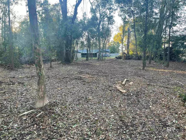 Mobile, AL 36606,0 Shady Brook Drive