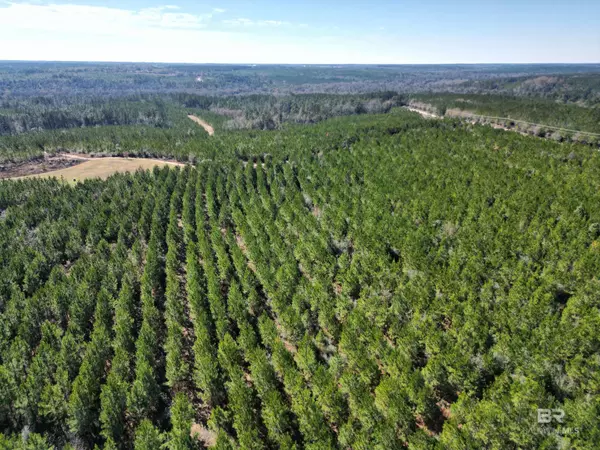 Atmore, AL 36502,Lot 3 Robinsonville Road