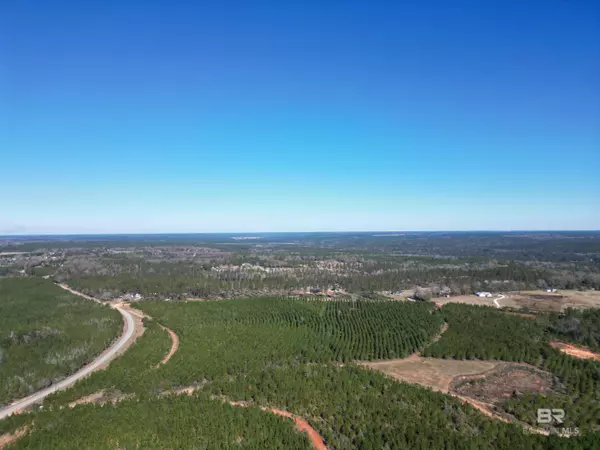 Atmore, AL 36502,Lot 3 Robinsonville Road