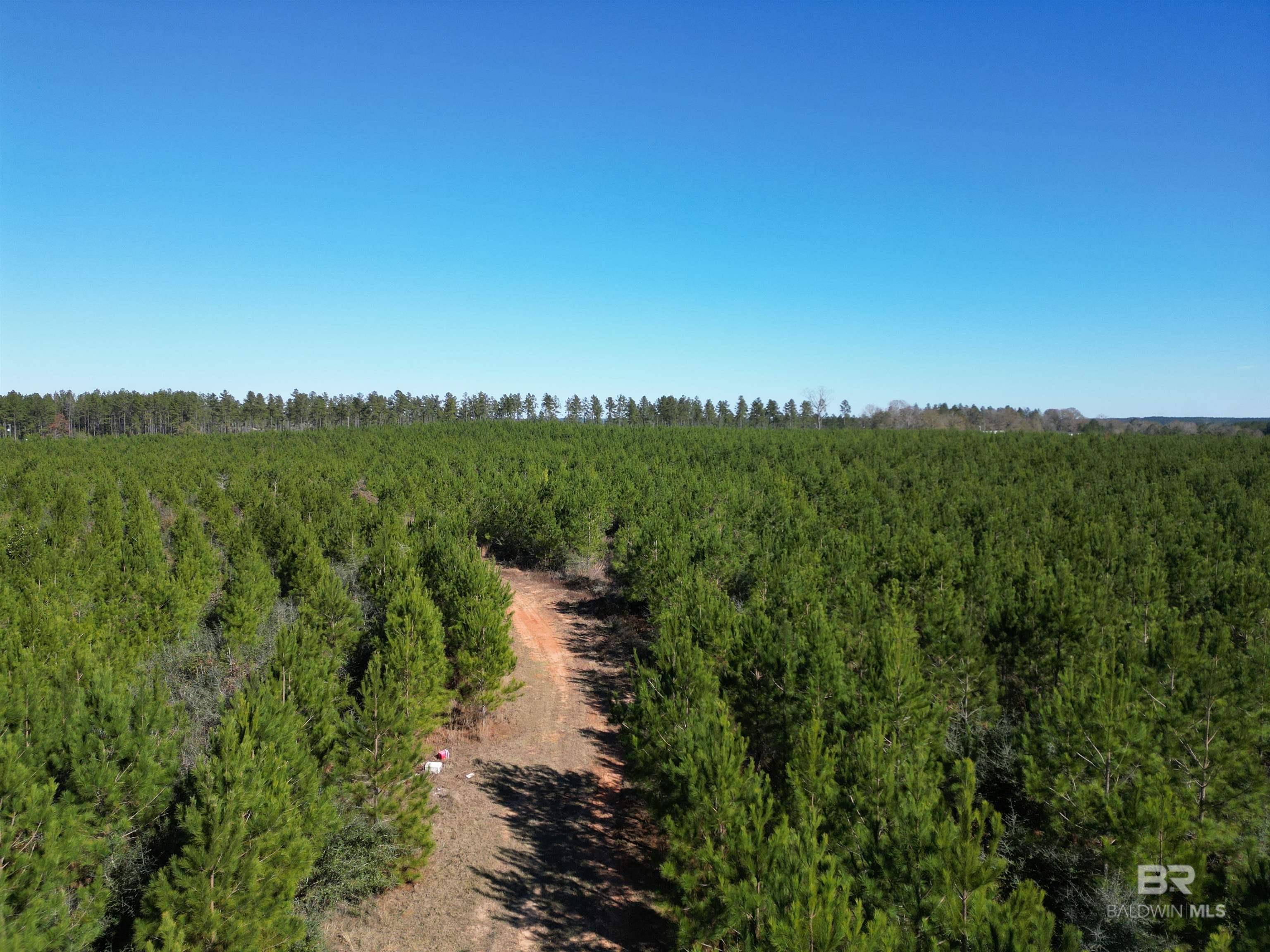 Lot 5 Robinsonville Road, Atmore, AL 36502