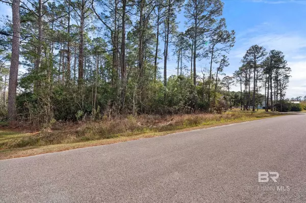 Coden, AL 36523,0 Morris Drive