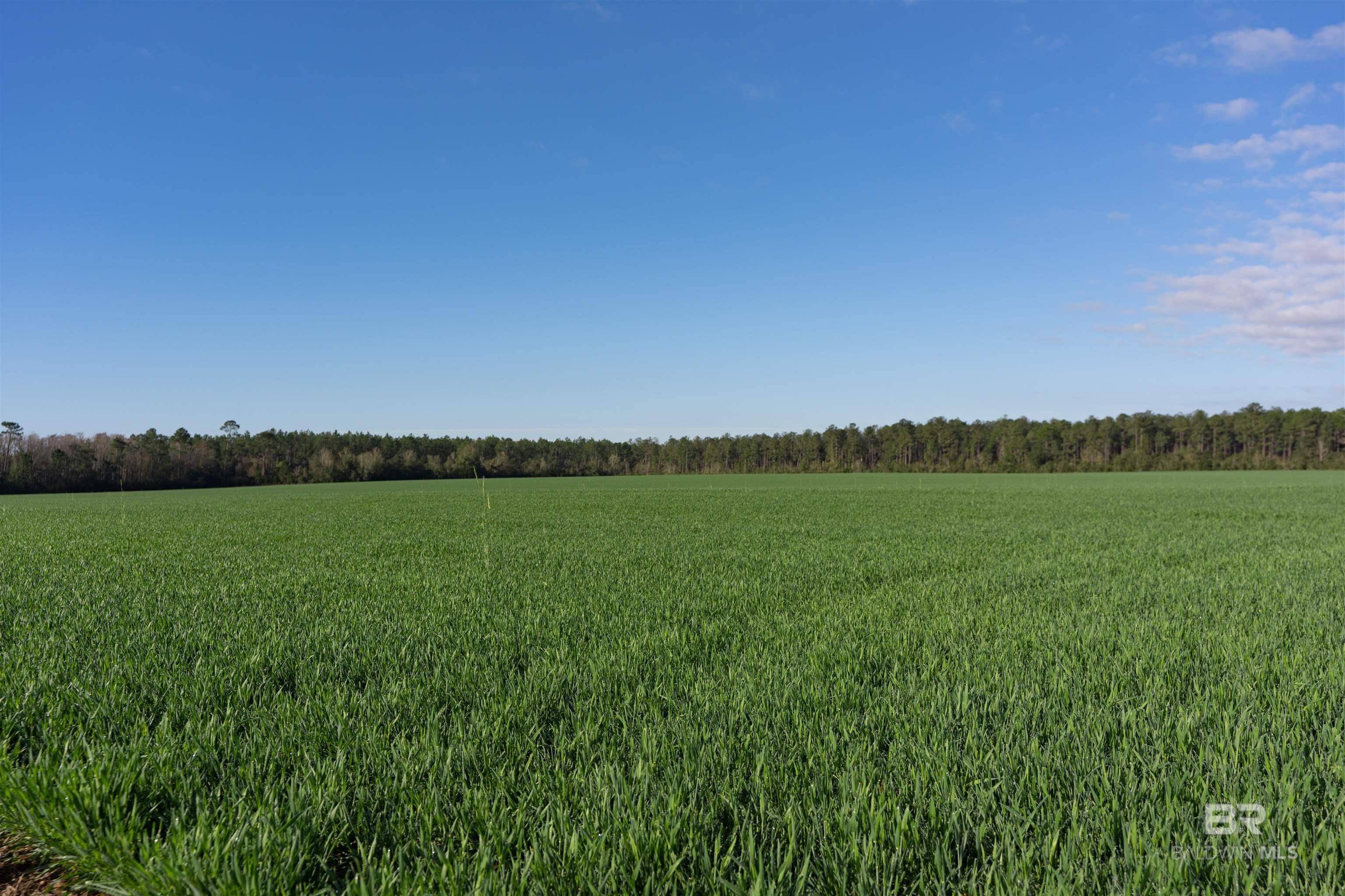 Elberta, AL 36530,0000 W GARDNER Road