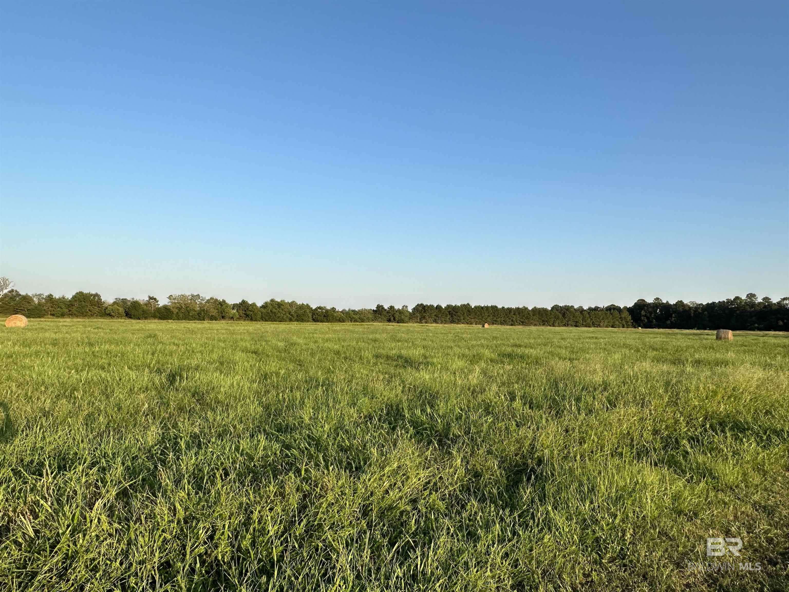 Elberta, AL 36530,0 County Road 26