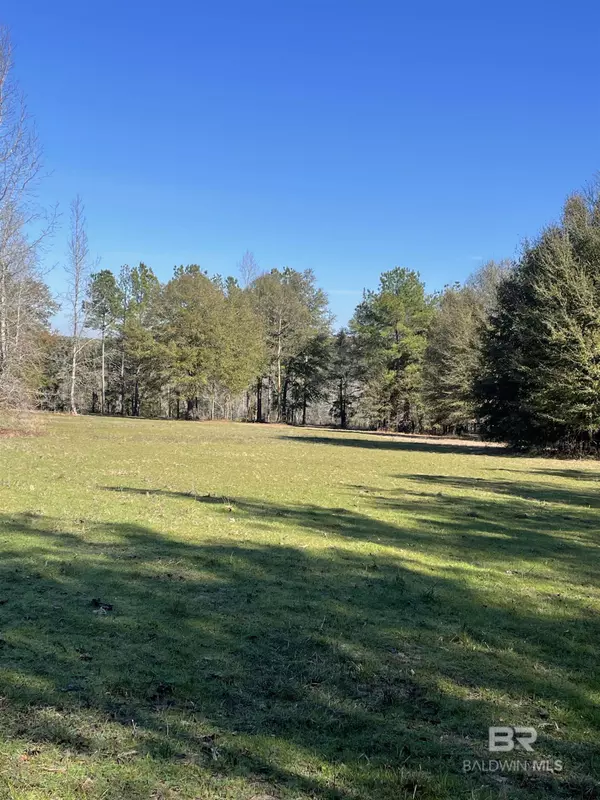 529 Sand Bottom Road, Peterman, AL 36471
