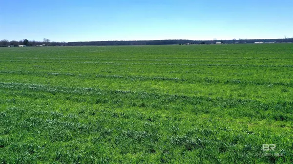 Atmore, AL 36502,Lot 2A McCullough Road