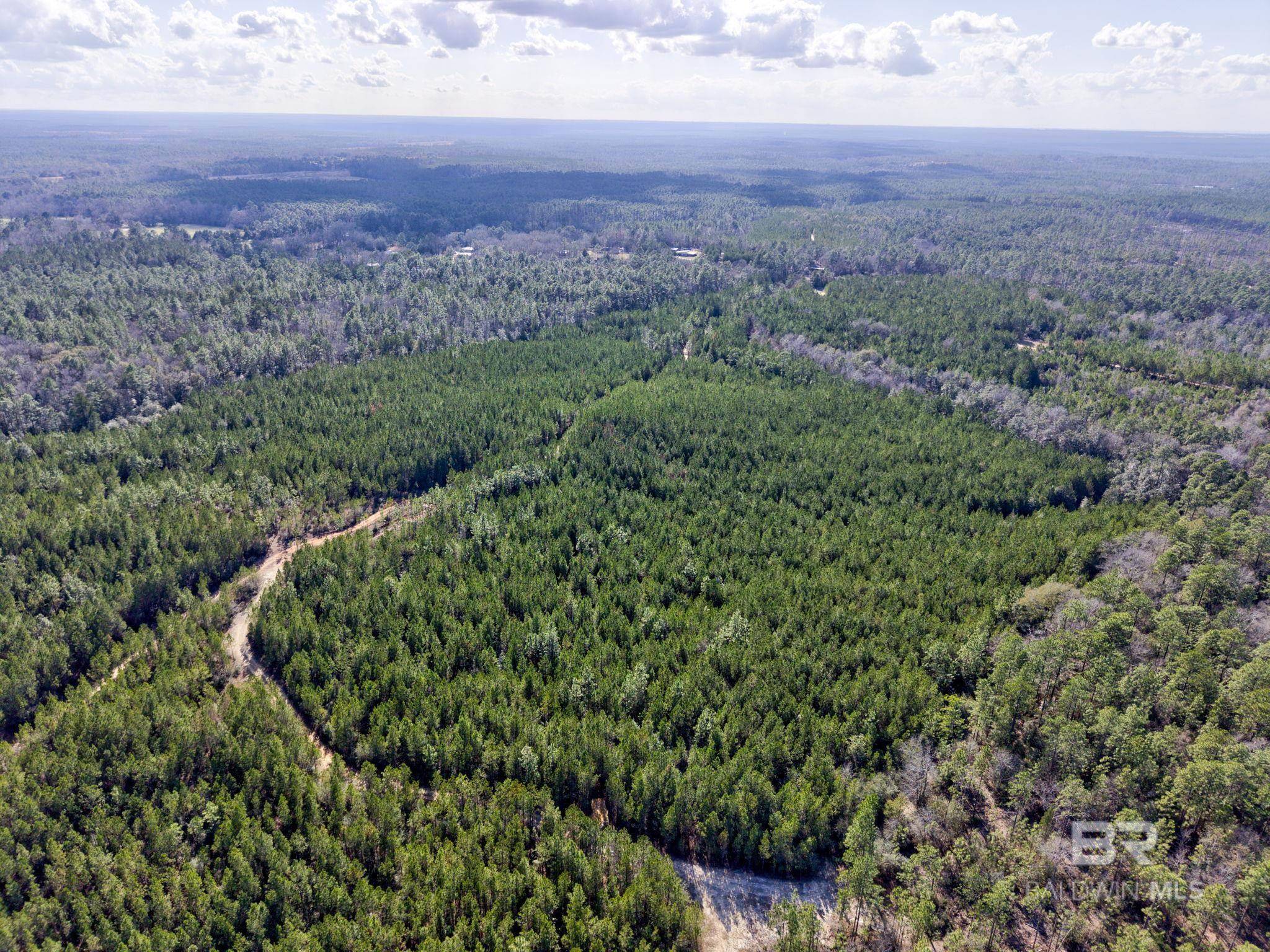 Bay Minette, AL 36507,0 Jones Lane