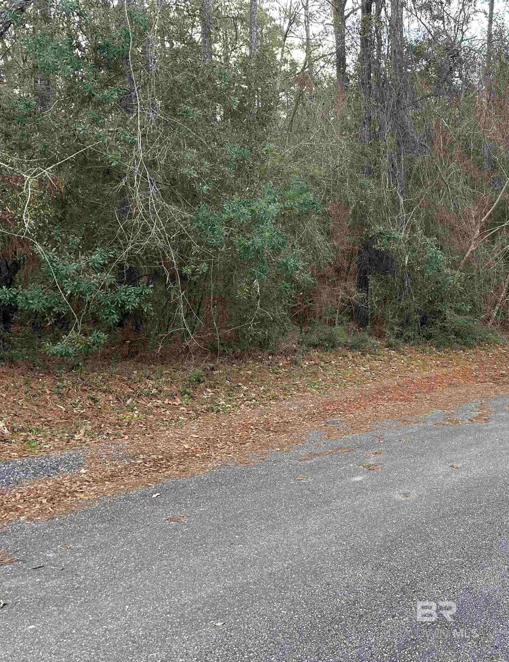 0 Pine Court, Saraland, AL 36571