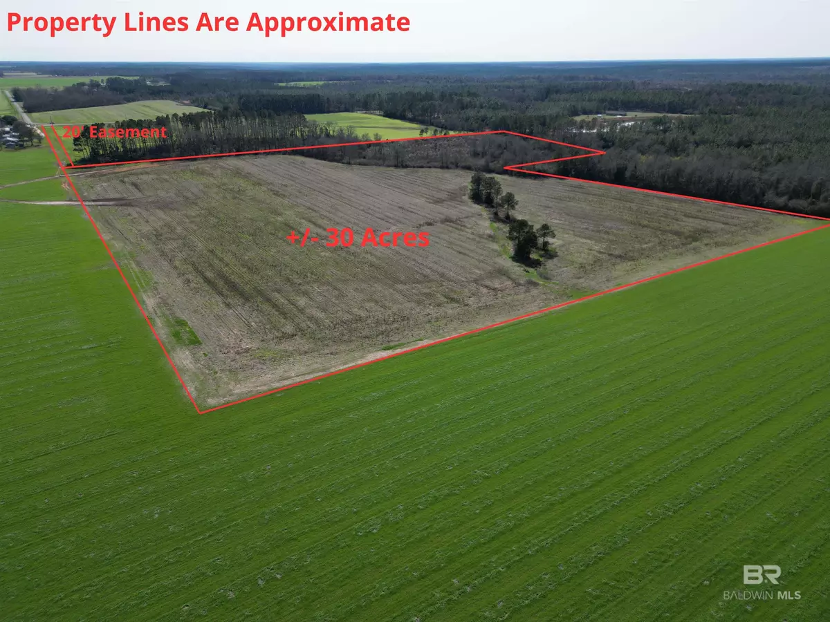 Mcdavid, AL 32568,5400 BLK Rockaway Creek Road