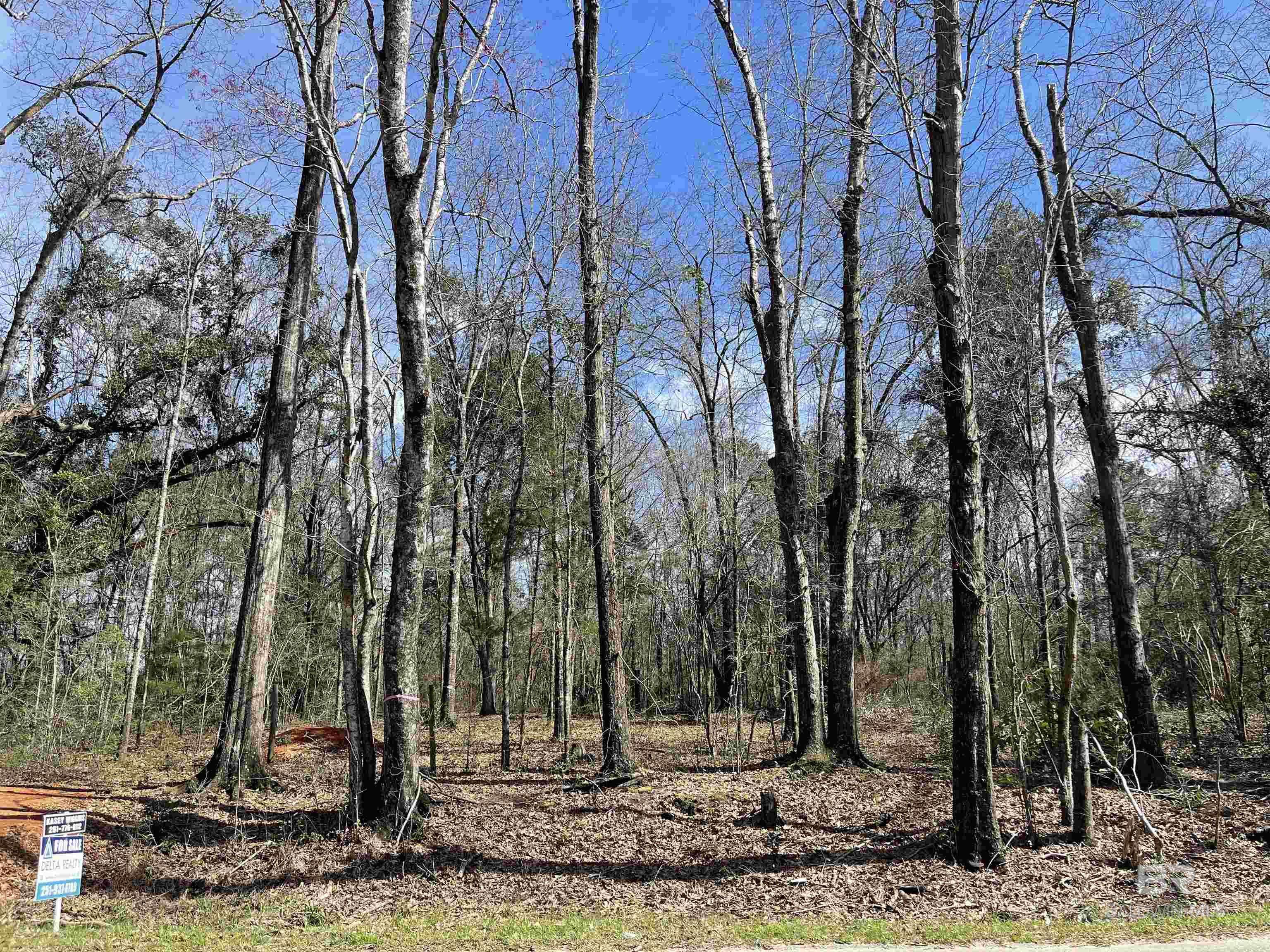 Bay Minette, AL 36507,0 Rockhill Road