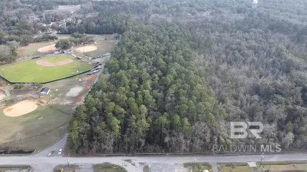 Satsuma, AL 36572,0 BALDWIN Road