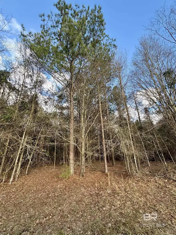 Atmore, AL 36502,0 James Brooks Road