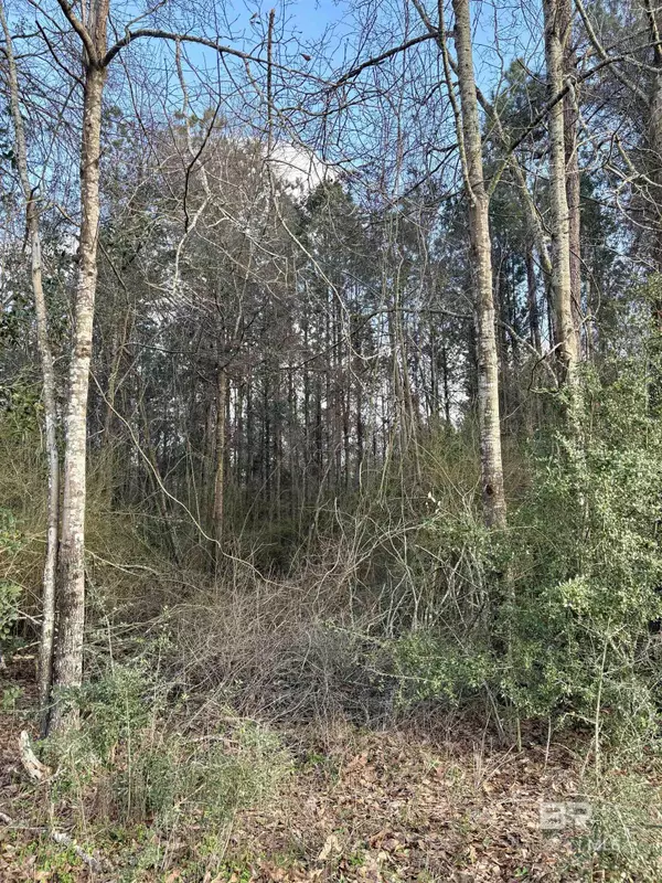 Atmore, AL 36502,0 James Brooks Road