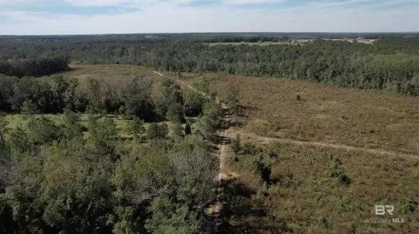 Robertsdale, AL 36567,0 Creekfront Drive